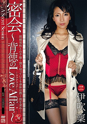 Secret Meeting ~Impossible Love Affairs~ Kyouko Kashii