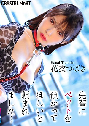 [4K] My senior asked me to take care of his pet... Hanagoromo Tsubaki