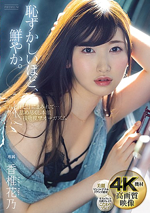 Wallowing In Shame, Sweat, And Body Fluids...Licking Instinct And Kissing Orgasms Kano Kashii [English Subtitle]