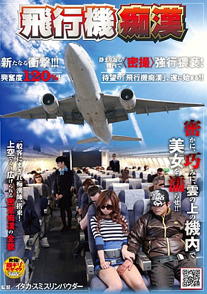 Airplane Pervert