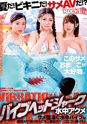 Vibe Head Shark Underwater Acme