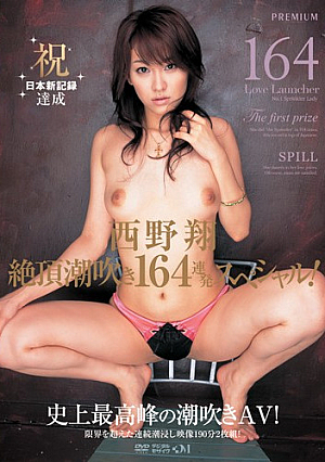 Barrage Special Climax Squirting 164! Sho Nishino