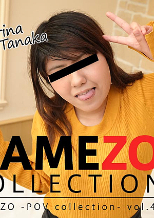 HAMEZO -POV collection- vol.49 - Karina Tanaka