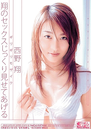 Sho Sho Nishino'll Show Carefully Sex Barely