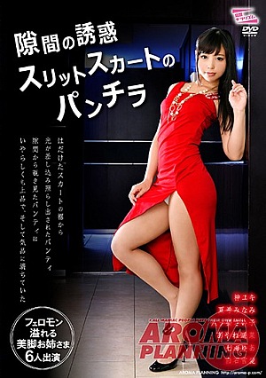 Seduction Of The Gap Slit Skirt Panchira
