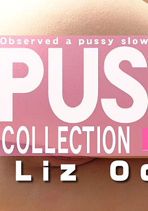 Pussy Collection Observed A Pussy Slowly And Carefully / Liz Ocean