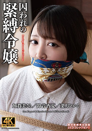Captive Bondage Daughter DID Collection 1