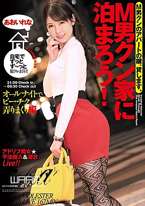 Let's Stay At M Man Kun House! Reina Aoi