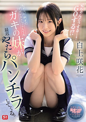 My Little Sister, Who I Used To Play Wrestling With, Has Been Showing Me Her Panties A Lot Recently. What Will You Do, Big Brother? Go For It!? Saki Shirakami